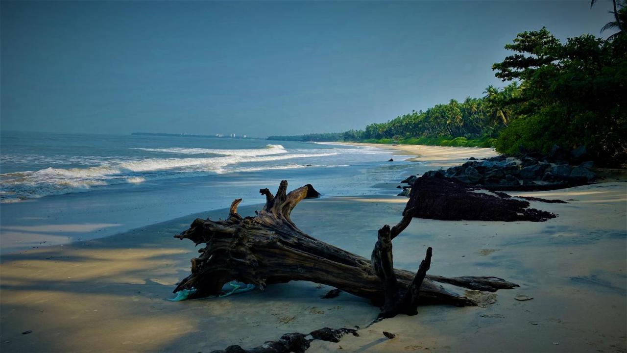 White Shell Beach House Kannur Zewnętrze zdjęcie