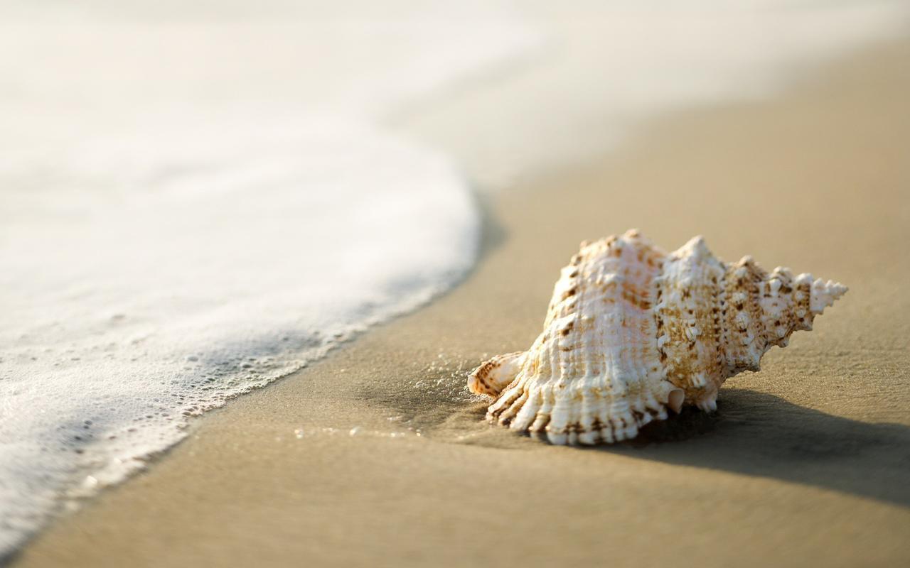White Shell Beach House Kannur Zewnętrze zdjęcie